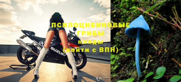 гидра Волосово