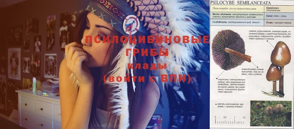 гидра Волосово