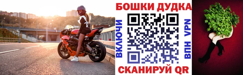 Каннабис план Купить где Наволоки